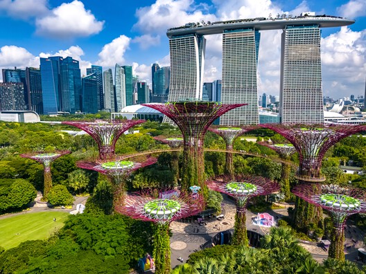 Zero Waste City