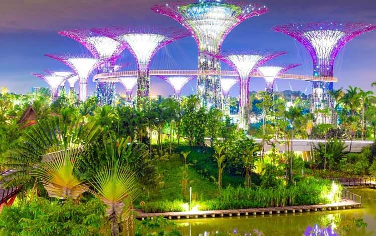 Singapore Urban Cleanliness